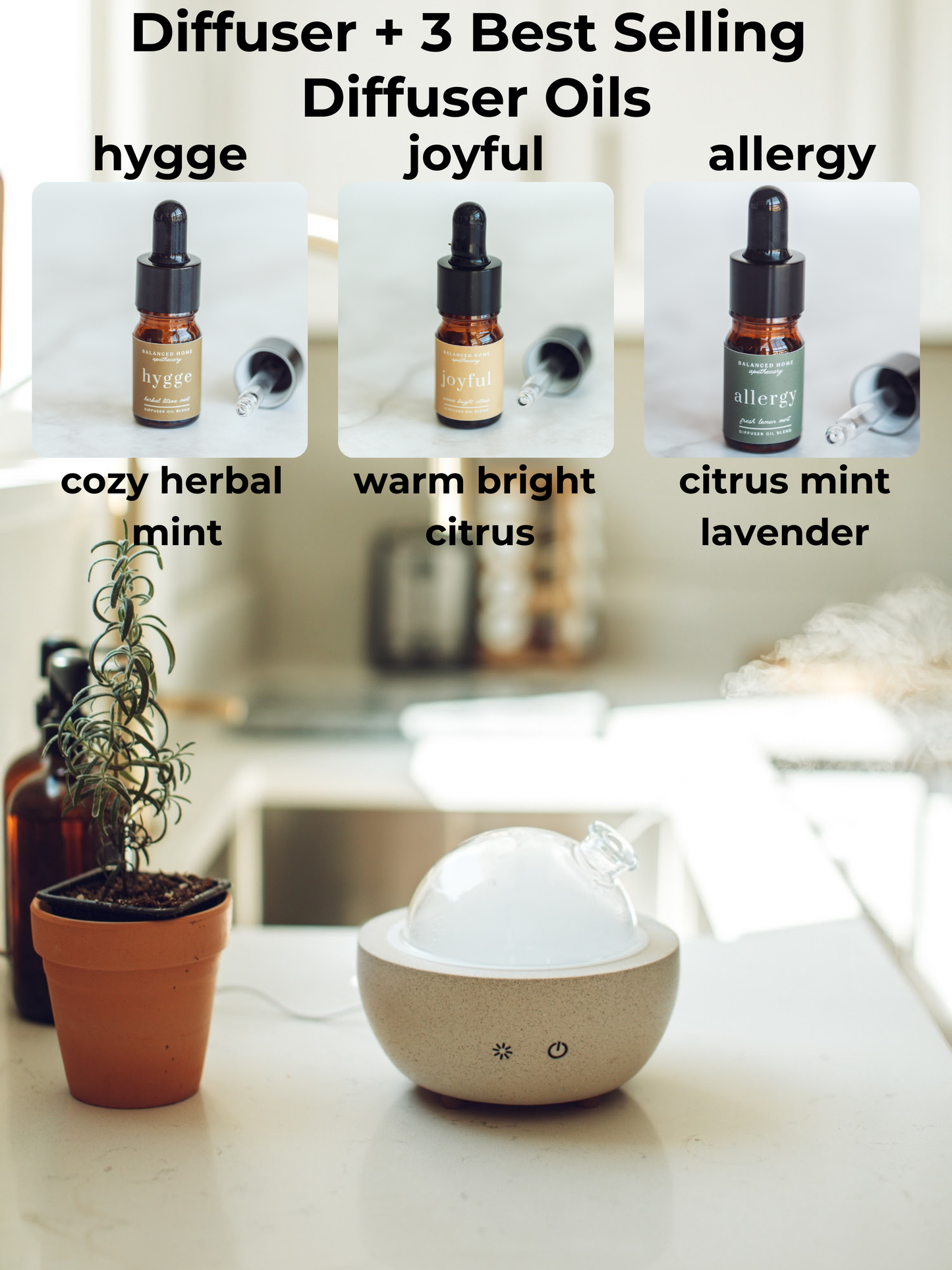 Concrete Glass Dome Essential Oil Diffuser