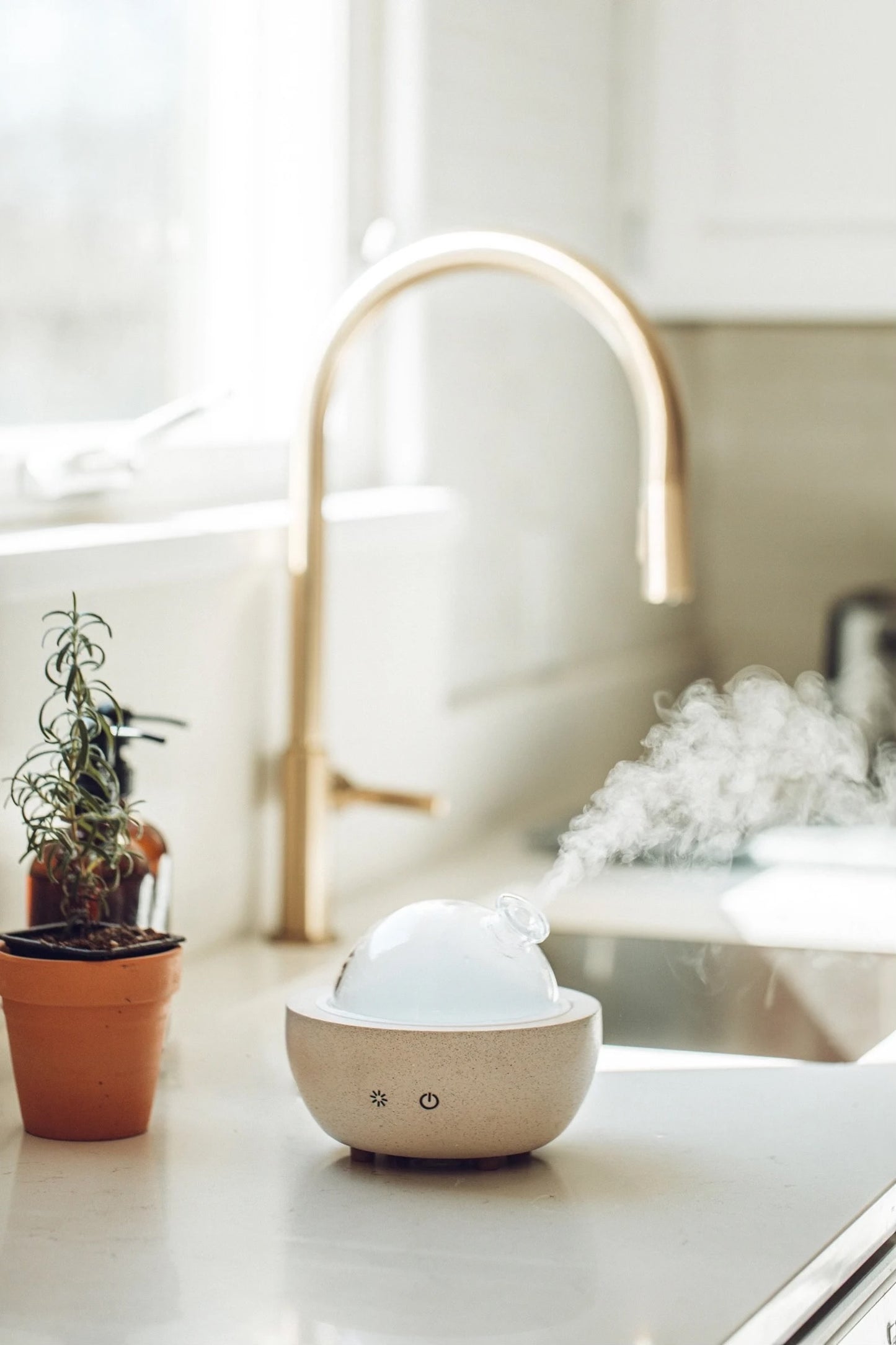 Concrete Glass Dome Essential Oil Diffuser