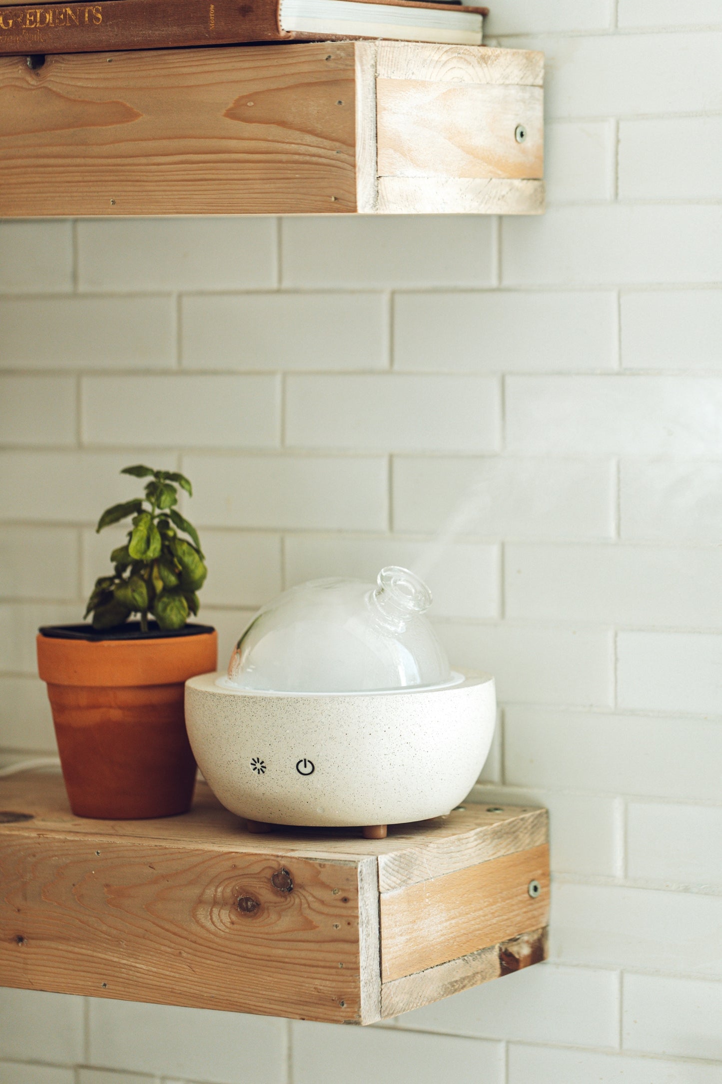 Concrete Glass Dome Essential Oil Diffuser