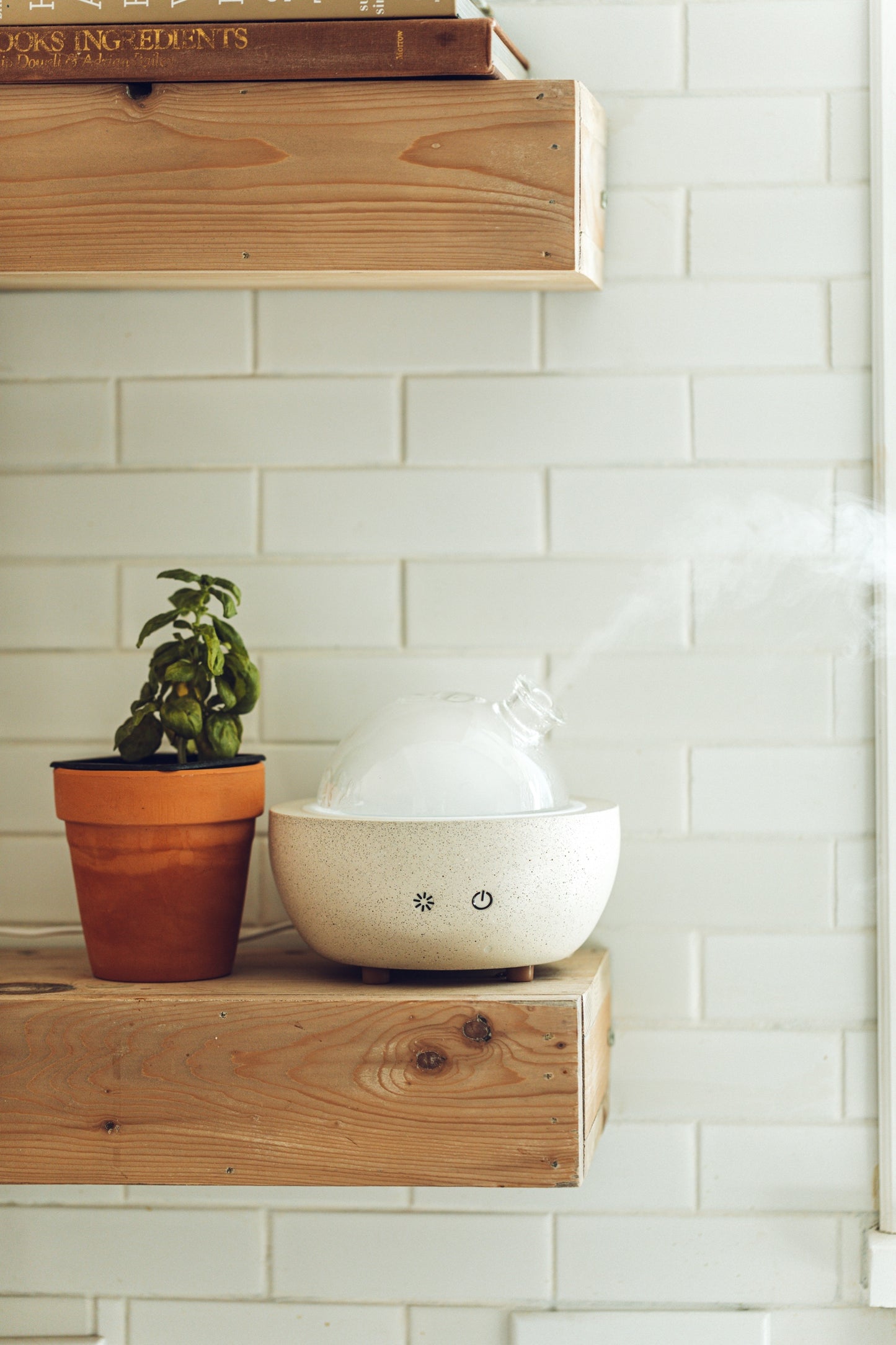 Concrete Glass Dome Essential Oil Diffuser