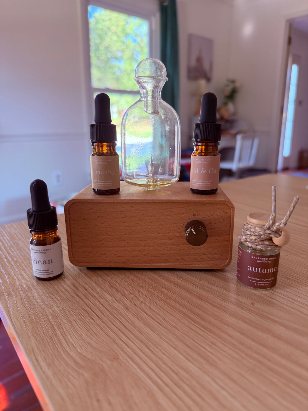 Waterless Portable All Glass Diffuser