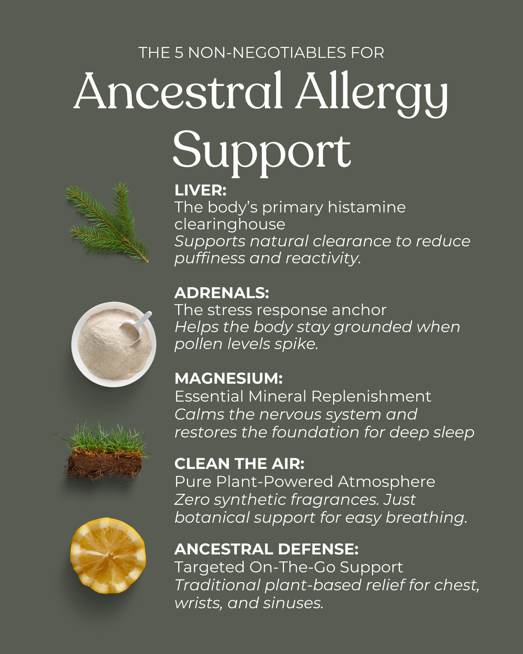 Ancestral Allergy + Protection Kit | Root-Cause Protocol & Nervous System Support