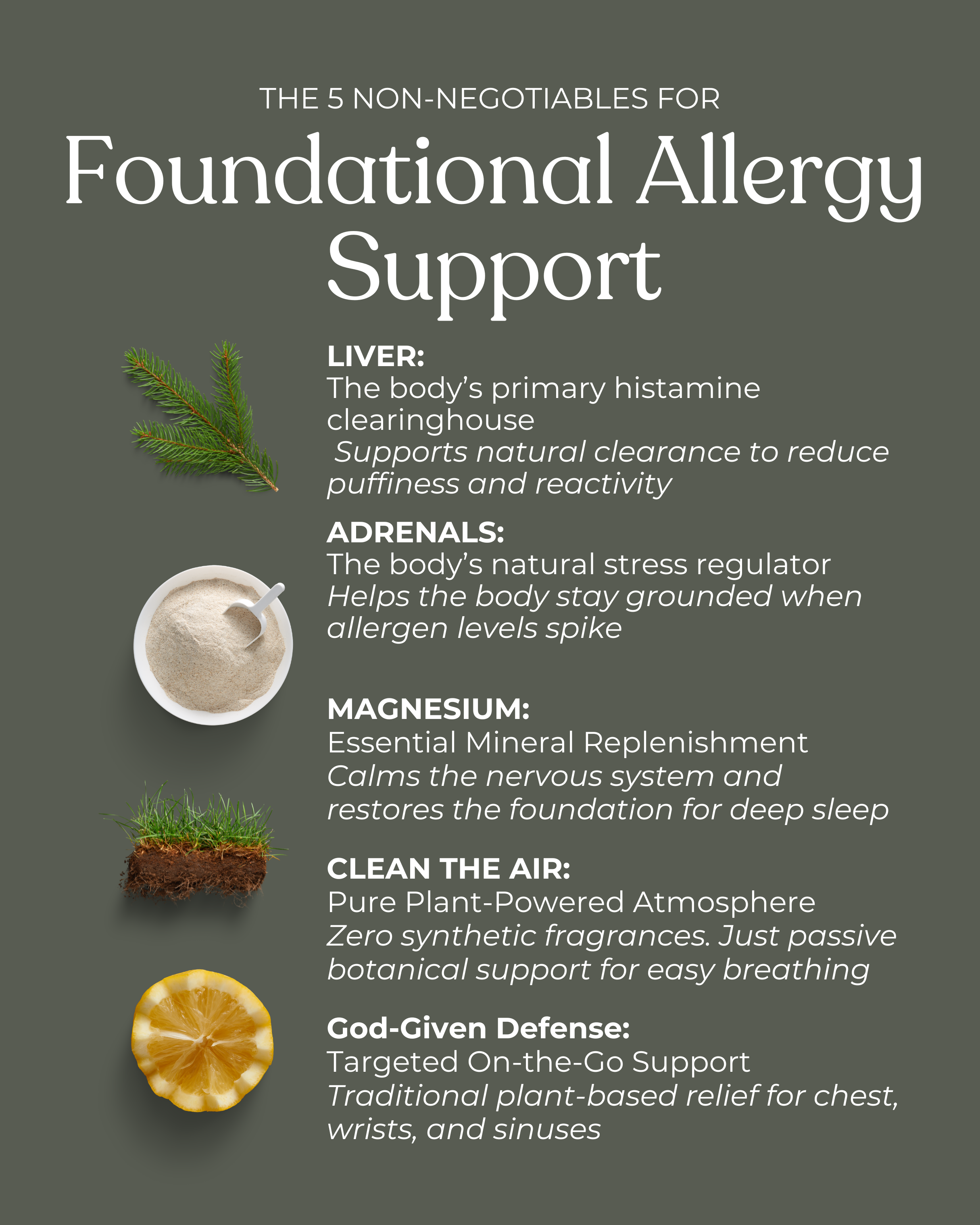 The Foundational Seasonal Protection Kit : God-Given Botanical Support for Busy Families