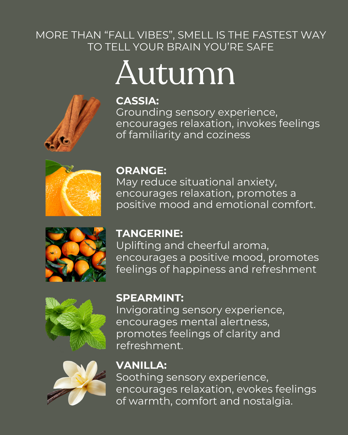 Autumn Sweet Cinnamon Pumpkin Diffuser Oil