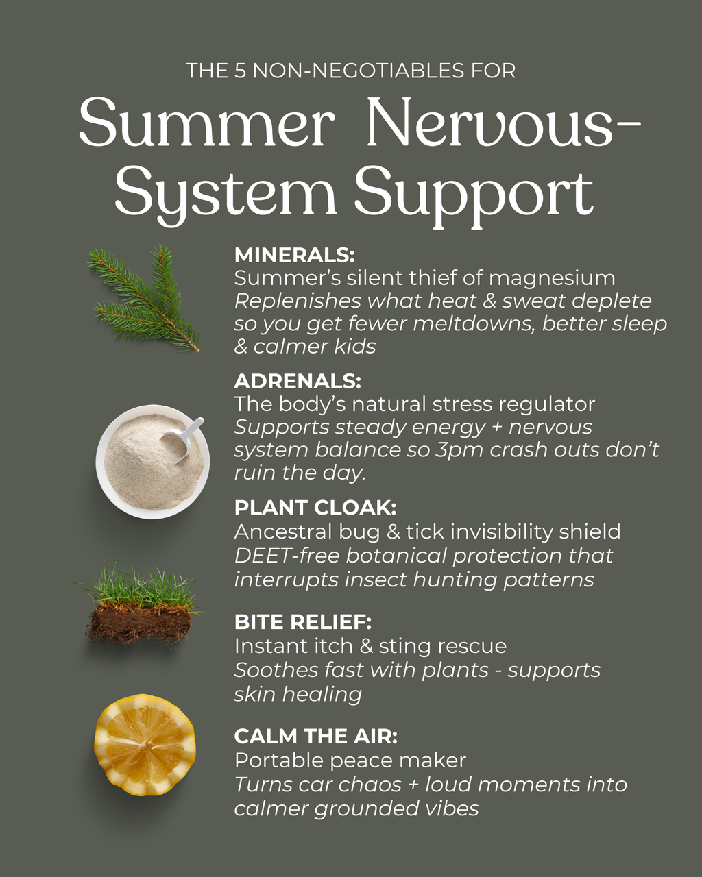 Summer Resilience Kit | Seasonal Resilience & Natural Comfort for Busy Families