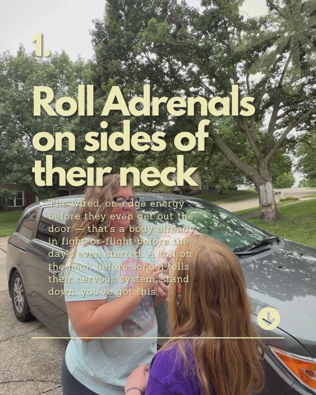 Adrenals Support Rollerball | All-Day Nervous System Calmer